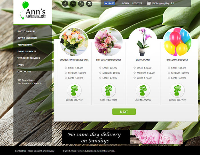 طراحی سایت گل و گیاه