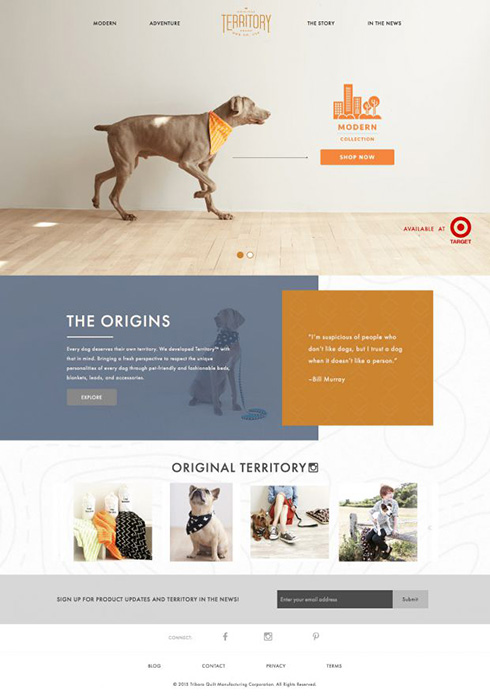 طراحی سایت حیوانات خانگی