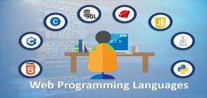 اصول توسعه وب سایت برای افراد مبتدی - قسمت دوم