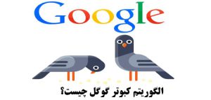 الگوریتم کبوتر گوگل چیست