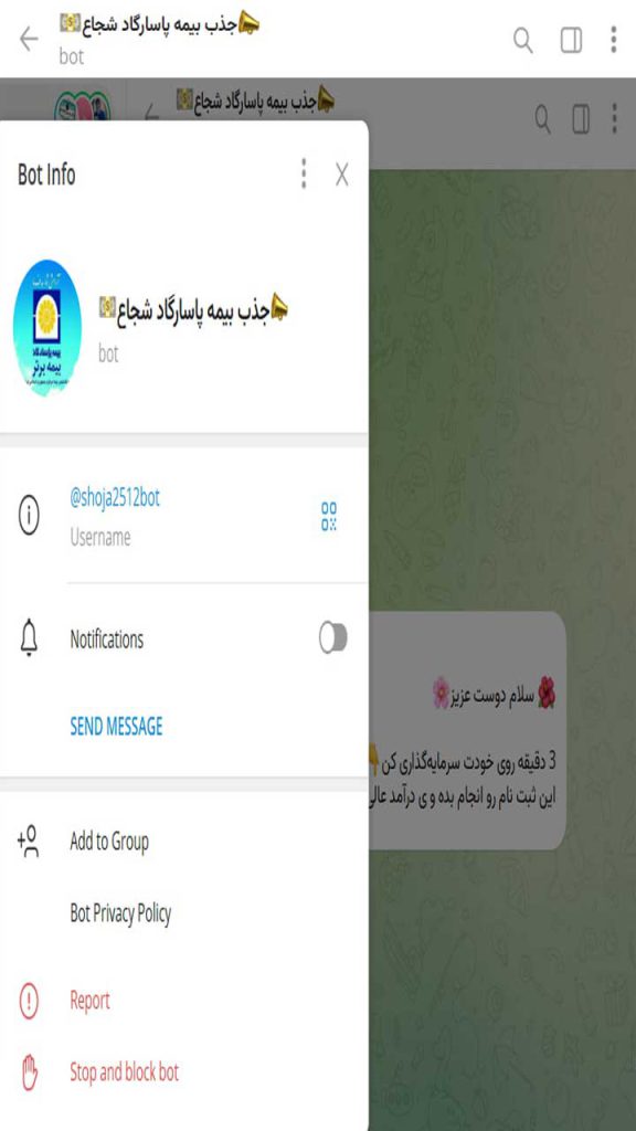 طراحی ربات جذب بیمه پاسارگاد گلستان